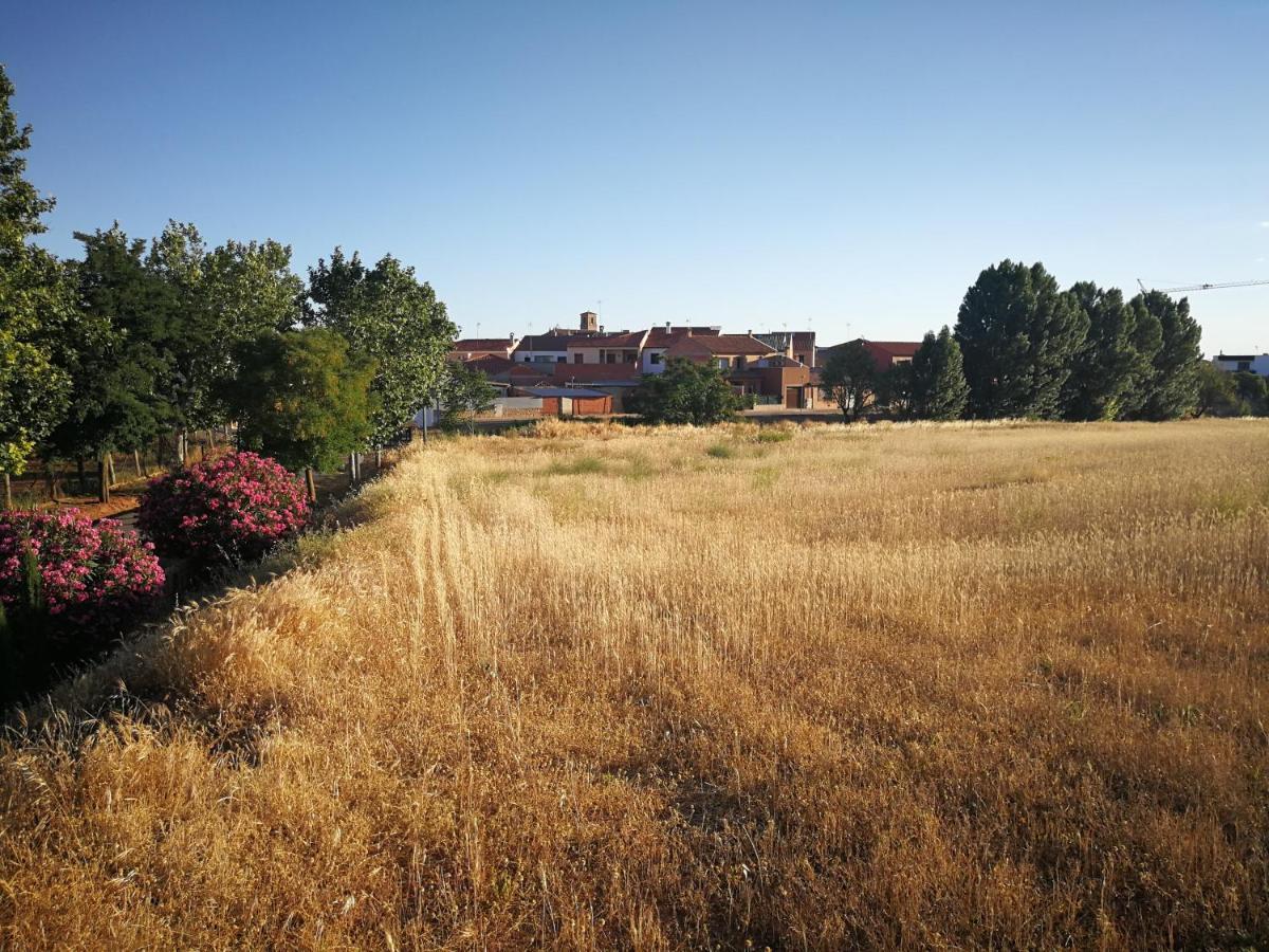 La Casona Del Abuelo Parra Hotel Villanueva De Los Infantes Bagian luar foto