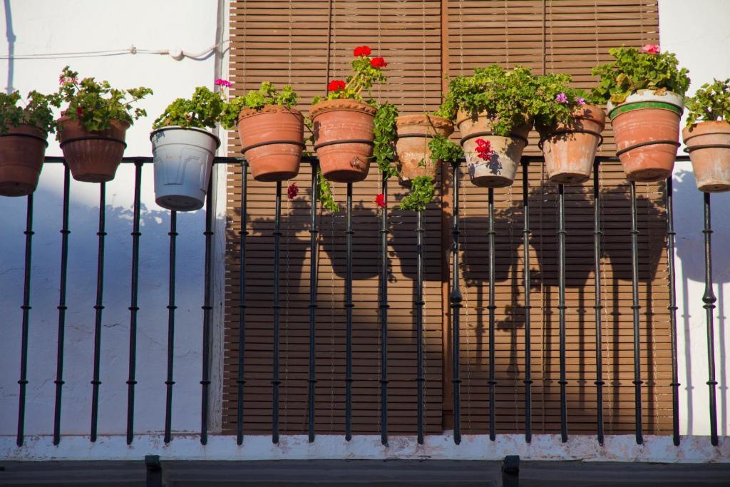 La Casona Del Abuelo Parra Hotel Villanueva De Los Infantes Bagian luar foto